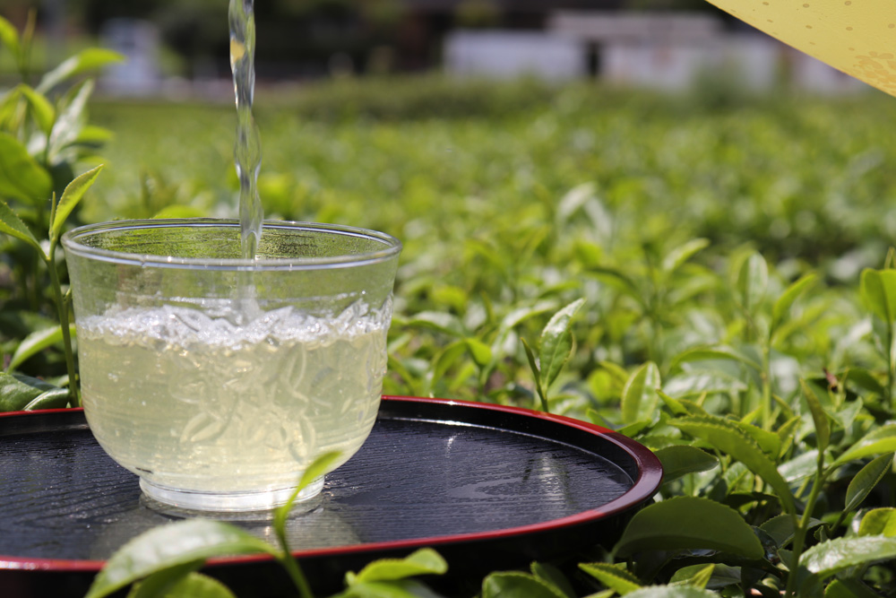 Shizuka Nouen envisions a new era of luxury tea【Kawane Tea, Shizuoka Prefecture】