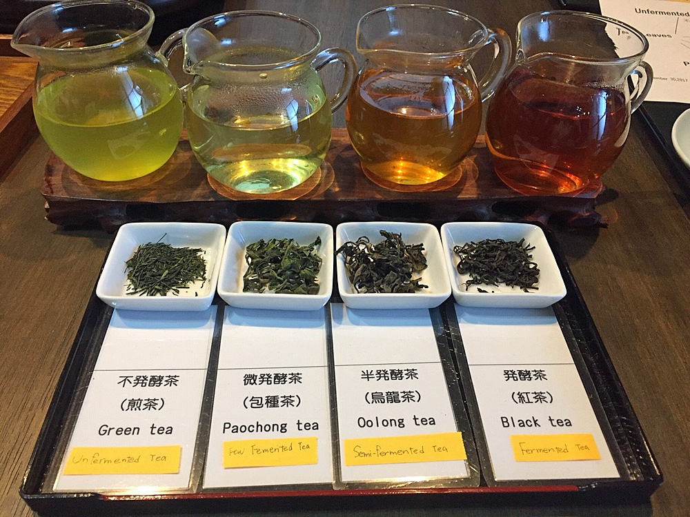 Moriuchi Tea Farm