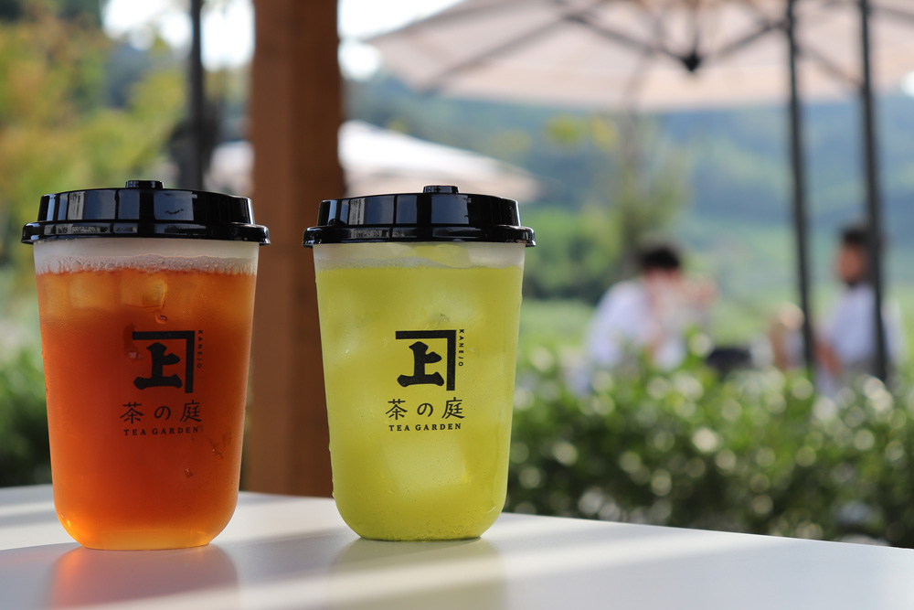 Top 5 Recommended Natural Japanese Tea Cafes! Enjoy the Perfect Tea Date for Couples【Shizuoka Prefecture】