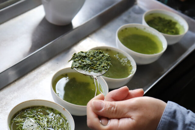 What Is a Japanese Tea Wholesaler? Appraising, Drying and Blending Aracha