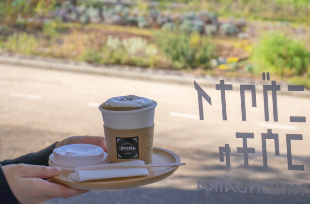 GREEN EIGHT CAFE: Hope Found in Japanese Black Tea — How Green Eight and its New Brand “Nigakunai Koucha” are Shaping the Future of Shizuoka Tea【Ryogouchi Tea, Shizuoka Prefecture】