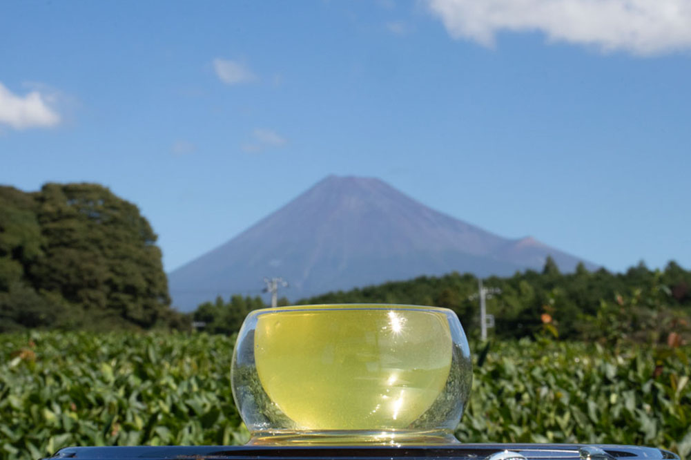 What Is Sencha? The Differences Between Asamushicha (Light Steamed Tea) and Fuakmushicha (Deep Steamed Tea), Growing Regions, Flavour and Brewing