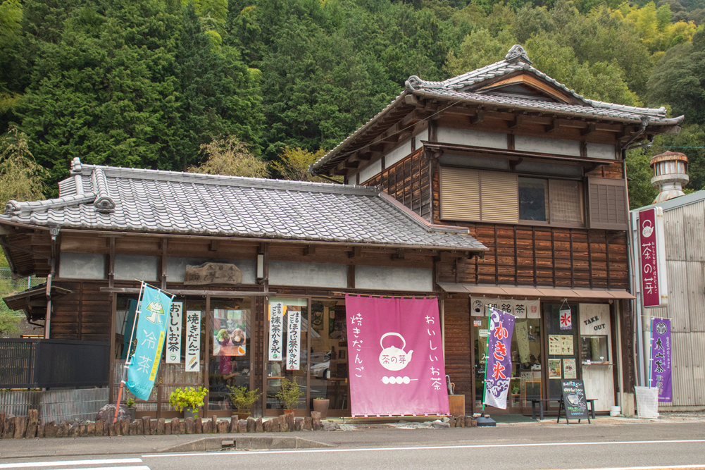 茶の芽