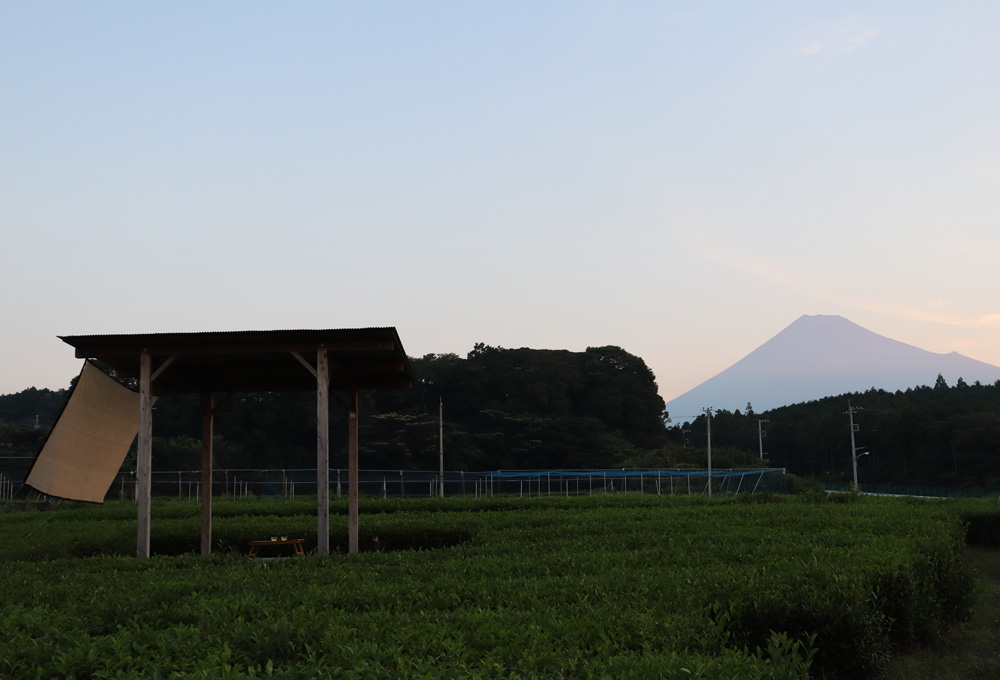 富士の茶の間
