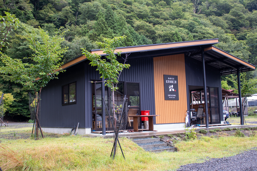 梅ヶ島紅茶体験工房