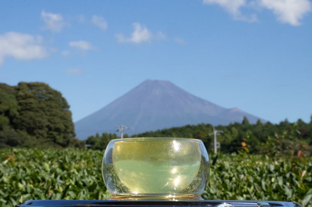 富士山まる茂茶園の未来に託す楽しいお茶のかたち【静岡県・富士御茶】