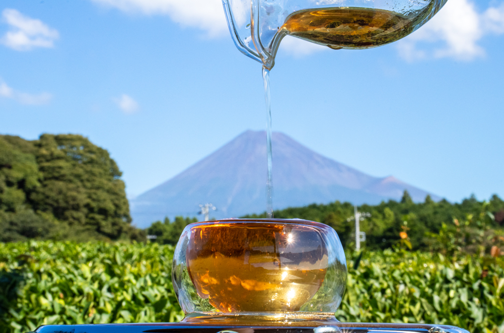 海と富士の茶の間で味わう富士山麓に息づく富士御茶【静岡県・富士市】