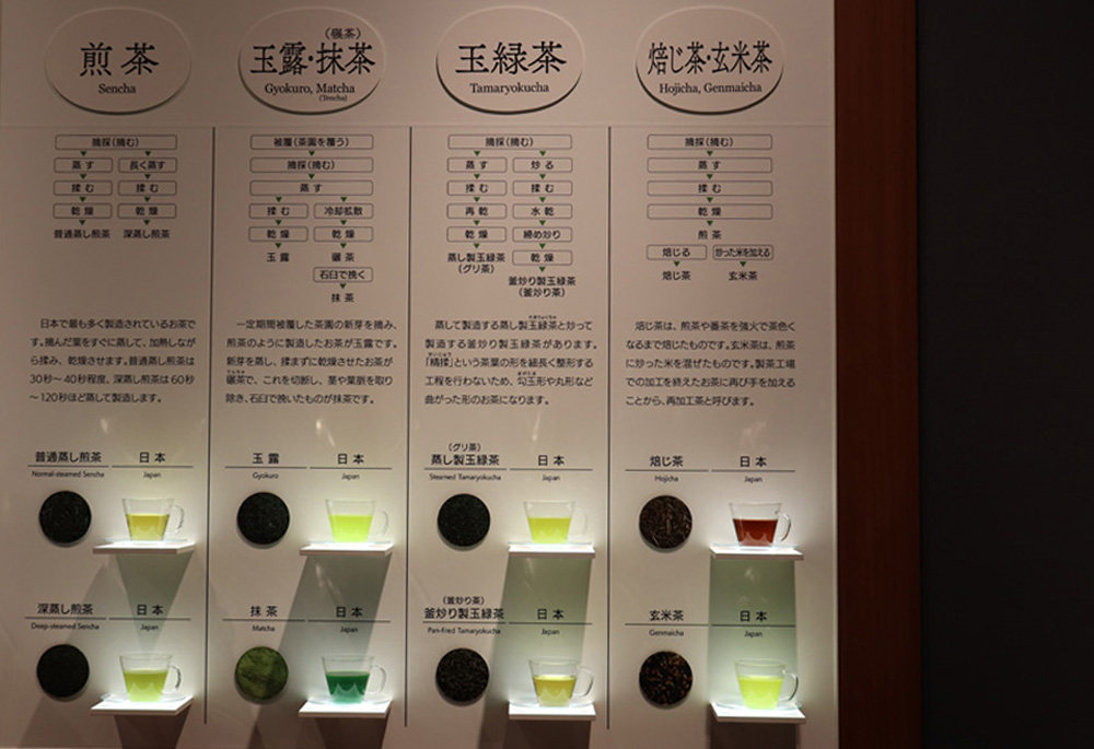 煎茶の種類