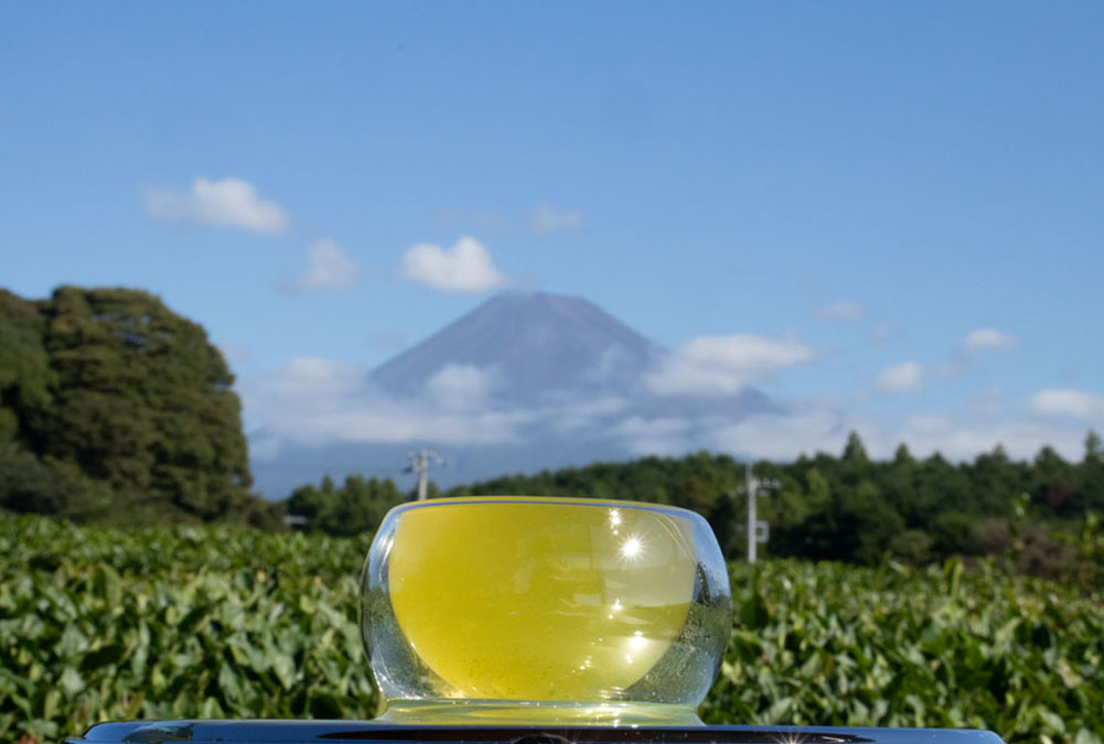 深蒸し茶