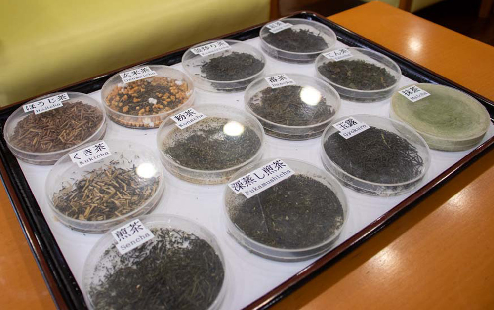 日本茶の種類