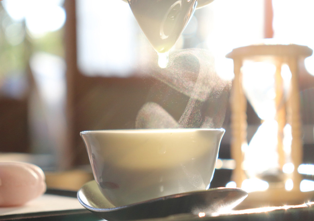 日本茶とは？種類・産地・作り方から茶農家・茶問屋まで現地取材で解説