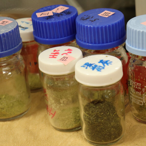 茶学総合研究センター